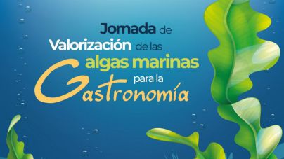 Gran Canaria se prepara para participar del negocio mundial de algas