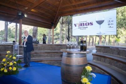 La vendimia de Gran Canaria en 2022 crece un 40% al cosechar 457.739 kilos de uva