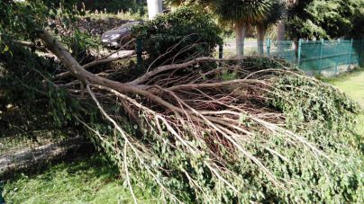 Vallehermoso evalúa los daños causados por el temporal de viento de los últimos días
