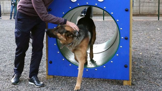 El barrio de Las Delicias alberga el segundo mayor parque canino del municipio