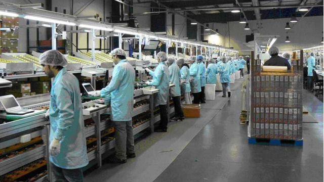 La industria único sector económico que aceleró su crecimiento anual en 2018