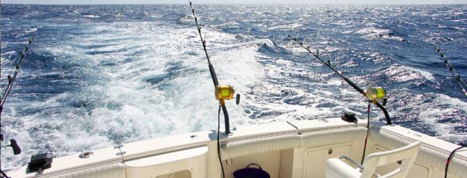 Canarias concedió 29.120 licencias de pesca recreativa en 2018