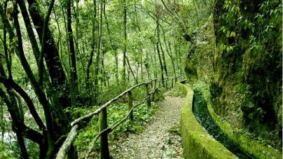 El Cabildo mantiene cerrado el sendero de Marcos y Cordero para evaluar una posible situación de riesgo por desprendimiento