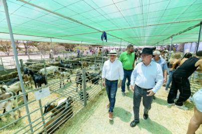 La Feria insular de Ganado 2024 exhibe la fortaleza del sector primario