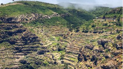 Los bancales de La Gomera: ingenio y supervivencia de los gomeros