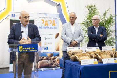 Gran Canaria produce el 62% de las papas consumidas en el Archipiélago