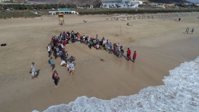 Estudiantes de intercambio y del IES La Oliva participan en una liberación de tortuga en Morro Jable