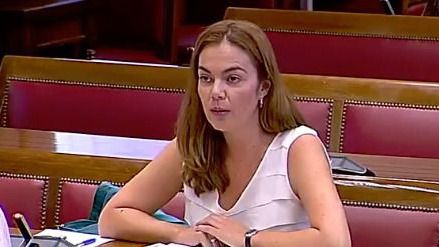 El Senado impide celebrar un pleno monográfico sobre Canarias