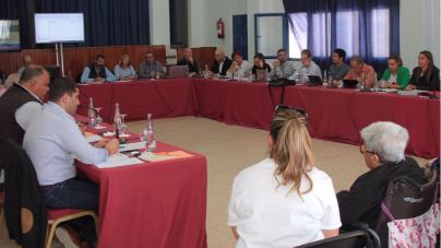 Consejera de Podemos expulsada del Pleno del Cabildo de Lanzarote por insultar al presidente