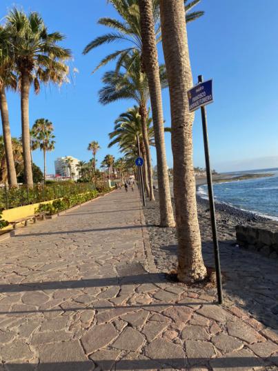 Canarias pierde 46 millones por día sin turistas