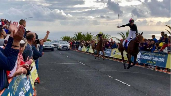 La Palma Ecuestre bate récords con la celebración de 20 carreras de caballos en dos jornadas