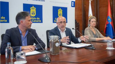 El compost orgánico producido por el Cabildo apto para cultivos