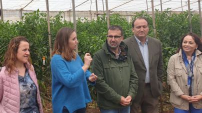 “El Gobierno de Sánchez y CC se han olvidado una y otra vez del sector primario en Canarias”