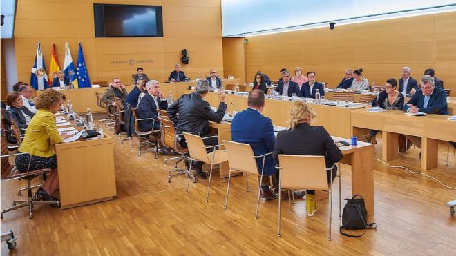 El Cabildo informa a los ayuntamientos sobre el protocolo de actuación y el tratamiento de las termitas