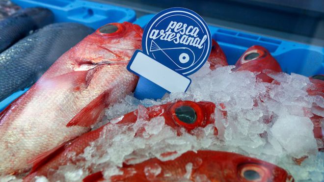 100.000 euros para las cofradías de pescadores de Tenerife