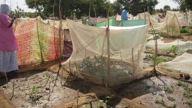 Más de 130 proyectos financia el Cabildo en 31 países