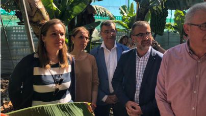 “Ciudadanos defenderá y trabajará para potenciar el sector primario de las islas”