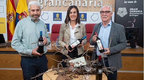 El descorche de vinos de Gran Canaria descubrirá los sabores de la última cosecha de 73.000 kilos más