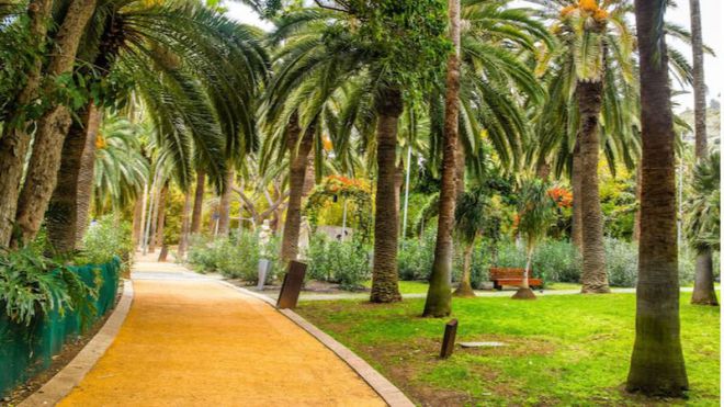 Santa Cruz celebra este viernes la II Jornada de Parques y Jardines