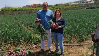 “Ciudadanos apuesta por una isla que vuelva a mirar al campo”