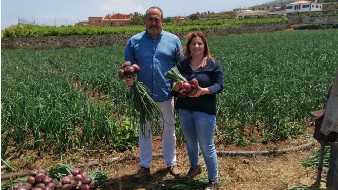 “Ciudadanos apuesta por una isla que vuelva a mirar al campo”