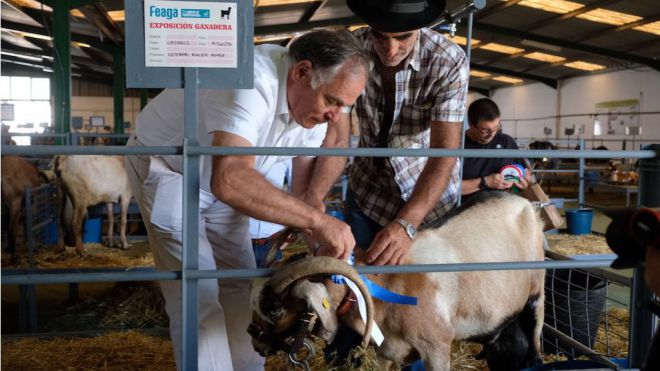 Feaga 2019 finaliza con más de 40 actividades organizadas en torno al sector primario