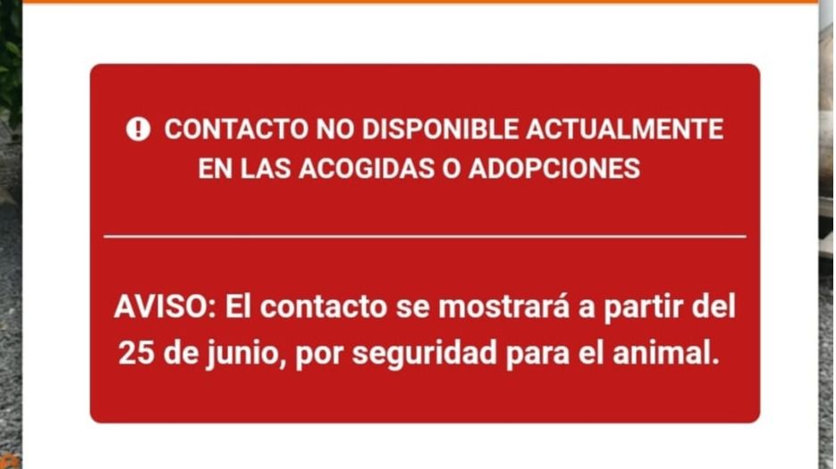 Junio en Canarias, el mes del maltrato