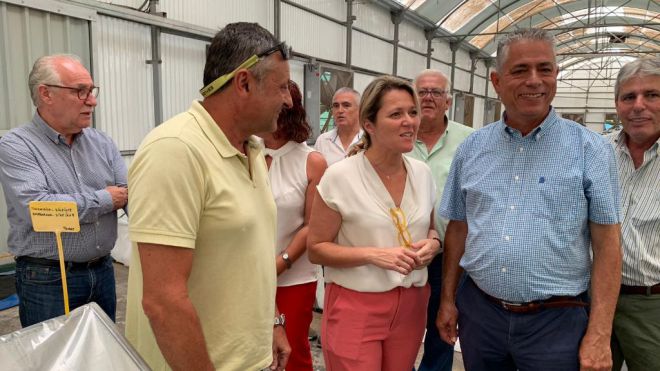 La consejera de Agricultura del Gobierno se reúne con el sector tomatero en La Aldea