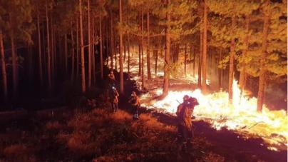 Gran Canaria entra en temporada de alto riesgo de incendio forestal