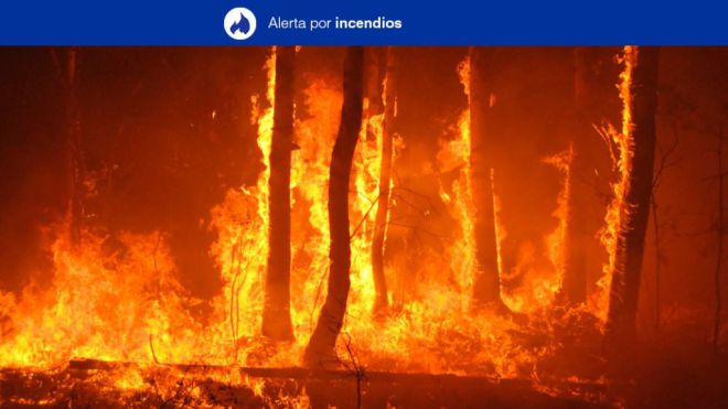 Alerta Máxima por Riesgo de Incendios Forestales en El Hierro, La Palma, La Gomera, Tenerife y Gran Canaria