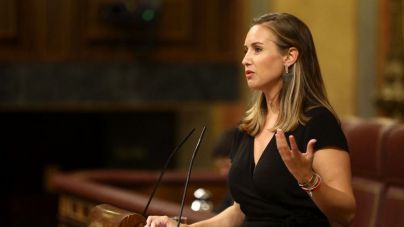 Cs pide al Gobierno una estrategia específica para la adaptación de Canarias y Baleares al cambio climático