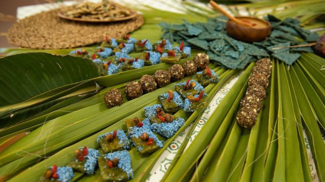 Gran Canaria estudia el potencial del cultivo de espirulina en la Isla