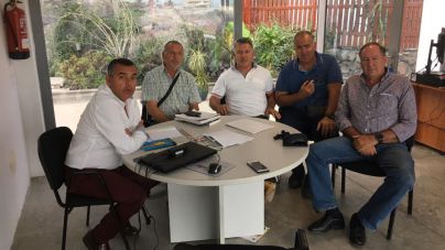 El Ayuntamiento protegerá a las abejas a través del plan de colonización verde