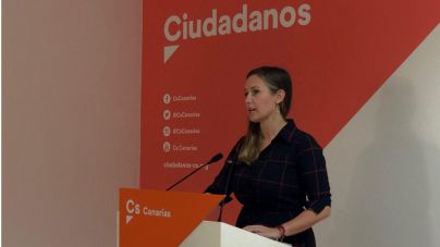 Rodríguez: “Hay que poner en marcha medidas que garantice la conectividad de las islas”