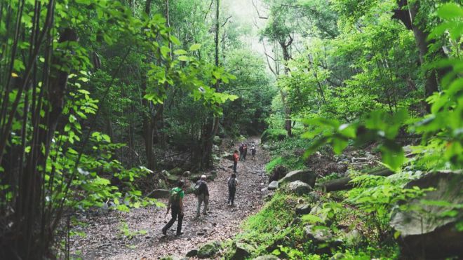 Casi 300 caminantes participaron en el Festival Internacional de Senderismo y Montaña de La Palma