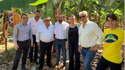 Cañas: “Los nacionalistas canarios no tienen voz en Europa para defender al plátano canario”