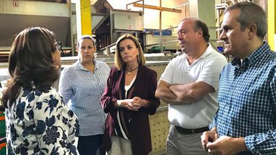 Zurita: “El Gobierno de Sánchez es peor que el Brexit para la agricultura canaria”