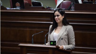 Espino: “El presupuesto del pacto de las flores nace ya marchito”