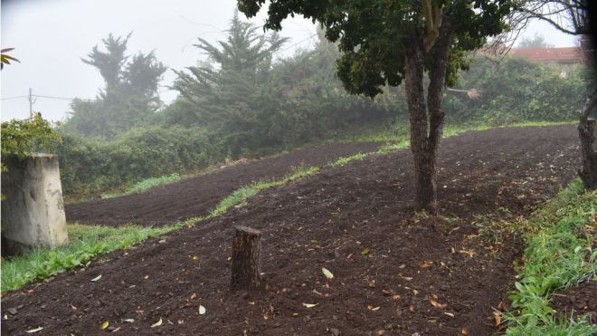 Canarias en Movimiento apuesta por un Plan de Soberanía Alimentaria que sea ambicioso