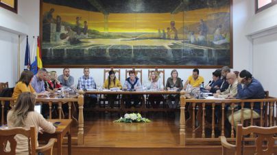 Tegueste apuesta por modernizar las explotaciones agrarias y apoyar el relevo generacional en el sector primario
