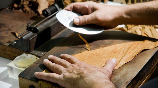 La innovación revitaliza el sector del tabaco en Canarias
