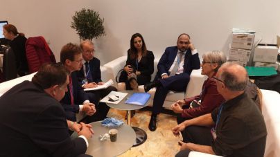 El Cabildo traslada al Ministerio la urgencia de incluir la termita americana en el catálogo de especies exóticas invasoras