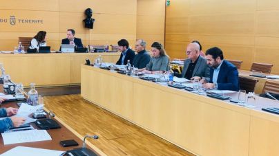 “El turismo se desploma en la Isla, mientras el gobierno del Cabildo se dedica a hacer experimentos”