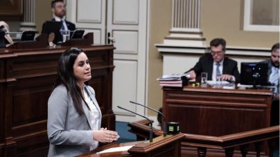“La estructura del Gobierno de Canarias responde a intereses partidistas y supone un aumento del gasto público”