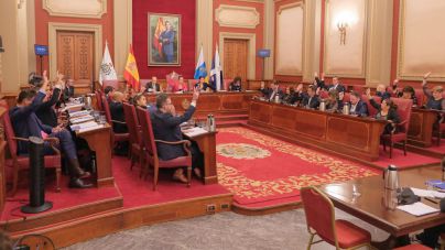 Santa Cruz aprueba por unanimidad usar pirotecnia silenciosa en sus fiestas
