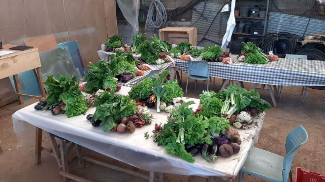 Tegueste reparte diez toneladas de fruta y verdura entre 124 familias del municipio durante 2019