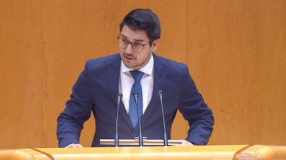 Chinea insiste en que el Gobierno incluya a las islas verdes en las medidas que impulsará para la España vacía