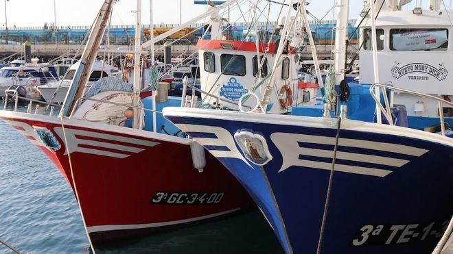 Comienza la campaña de pesca de atún rojo para 249 embarcaciones en las islas