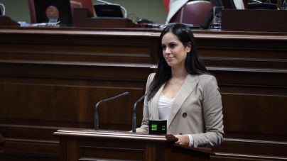 “Torres es incapaz de reconocer la falta de gestión en Sanidad y las urgencias hospitalarias colapsadas”