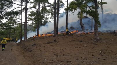500 personas regresan a casa tras las evacuaciones por el fuego en Tasarte